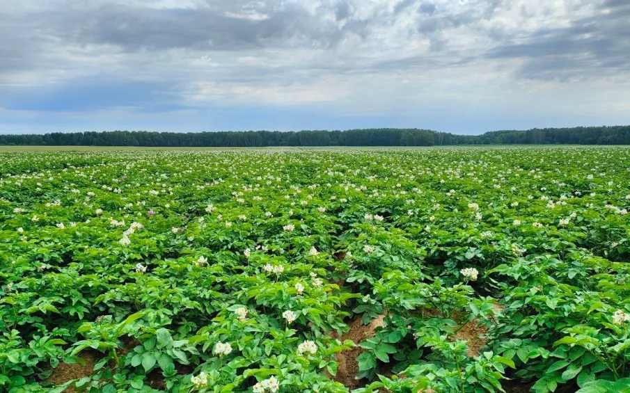 Гранты «Агростартап» на 93 млн рублей получили 18 нижегородских фермеров